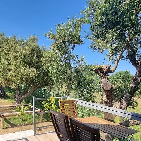 Olive Frame Mesokhórion